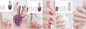 Summer Collection Nail Polish Set