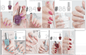 Summer Collection Nail Polish Set