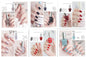 Summer Collection Nail Polish Set